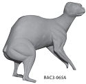 RAC3-065A